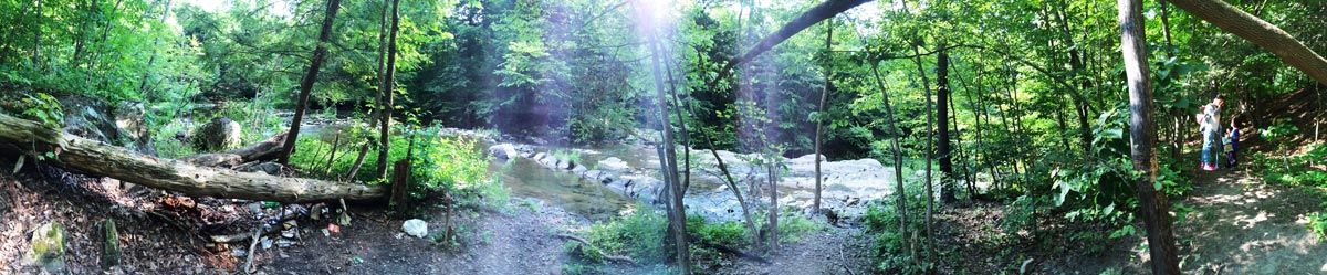Panoramic view of the creek