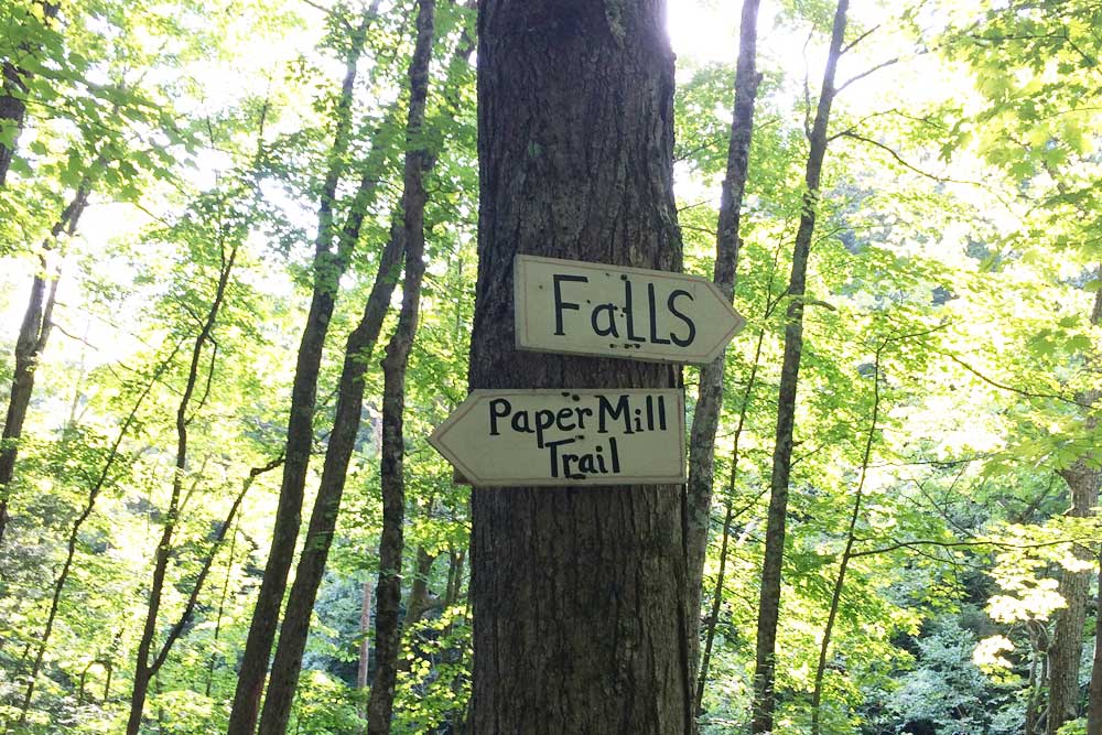 Family relaxing by the creek