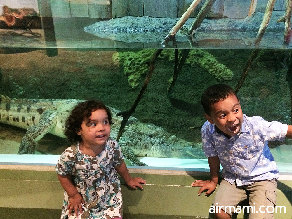 Camden waterfront view