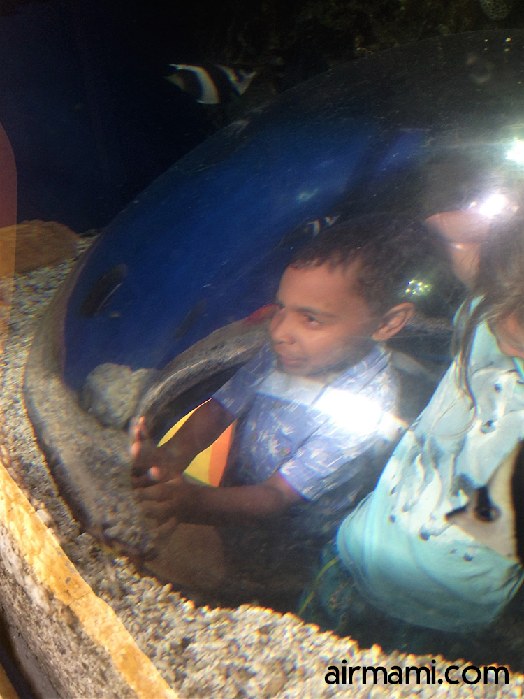 Kid peeking through pop-up tank