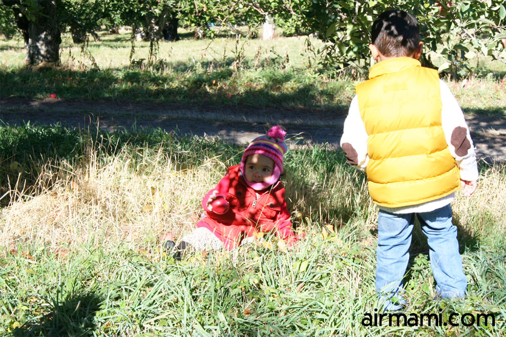 our-favorite-apple-picking-feature-1000