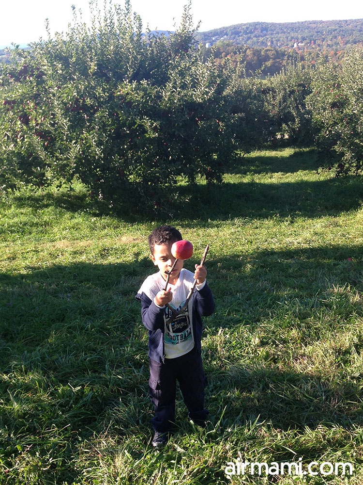 Kids carrying apple bags
