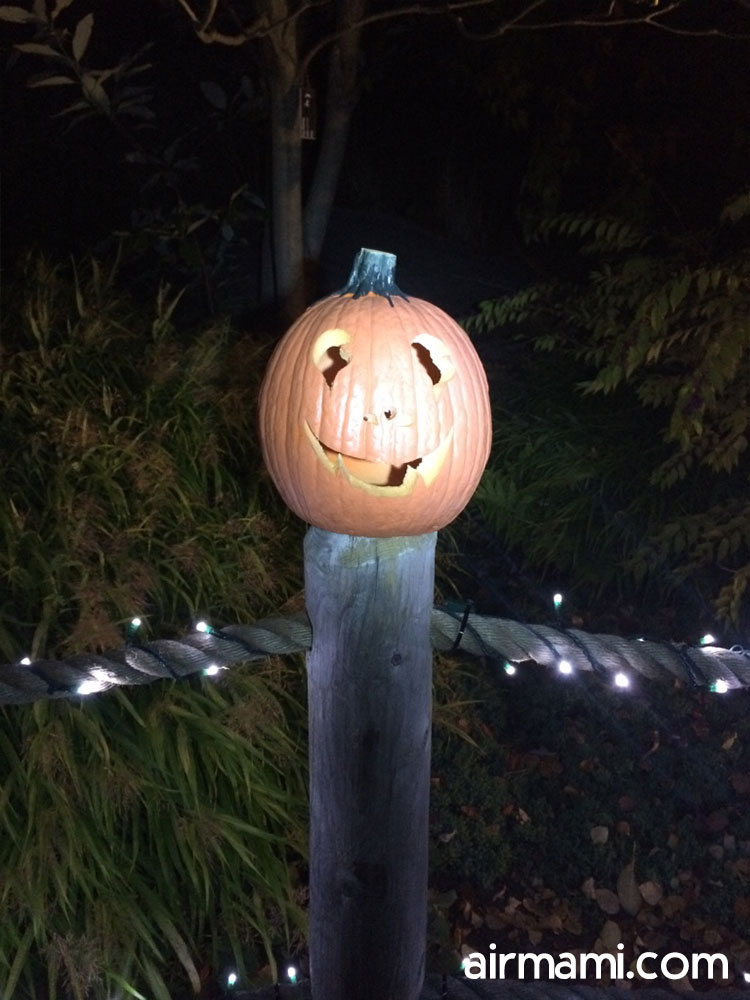 Live band playing during Frida for Families