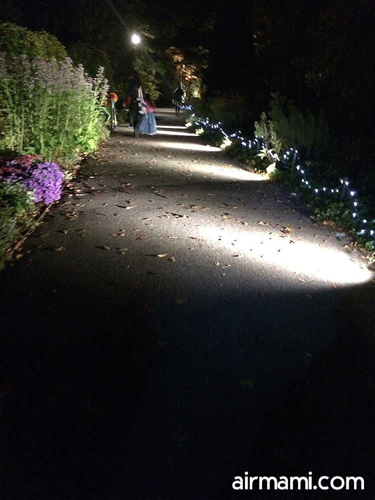 Family enjoying skeleton performers