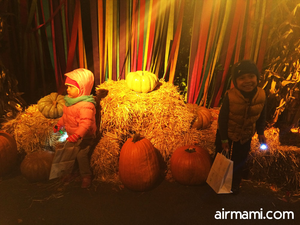 Children searching for critters with flashlights