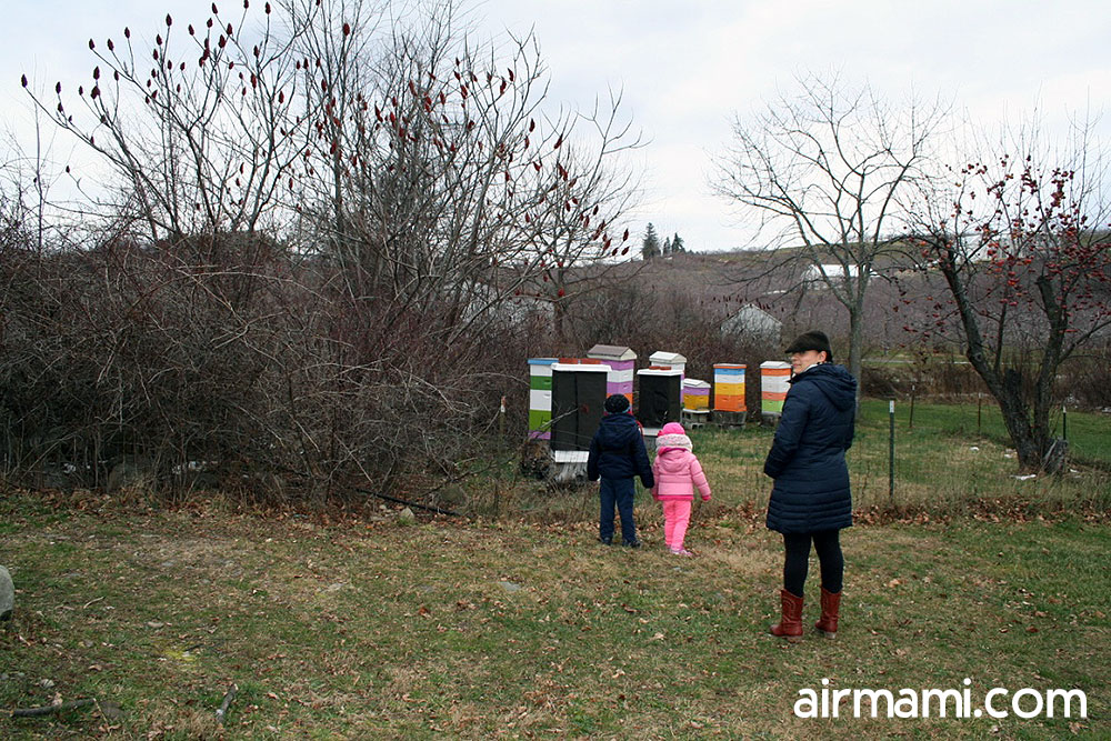 Hudson-Valley-Farm-Oasis-feature-1000
